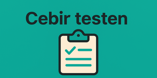 Cebir test